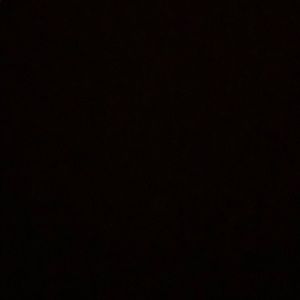 Meet your Posher, Riley